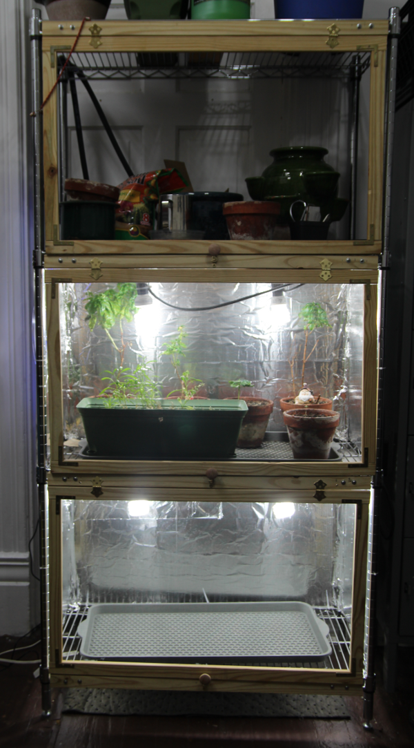 full grow setup